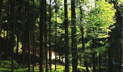 圖說巴中美景 | 林木蔥蘢清風(fēng)爽，康養(yǎng)勝地天馬山